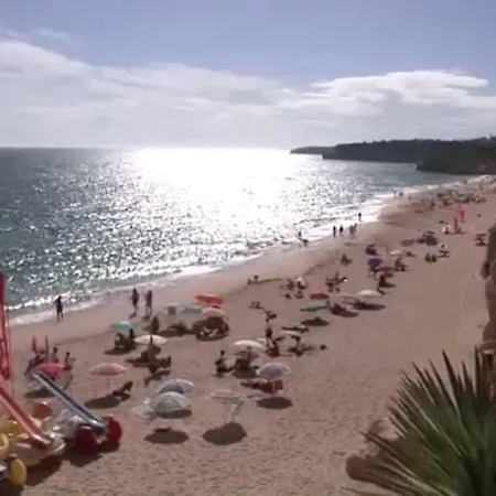Quiet Overlooking The Swimming Pool