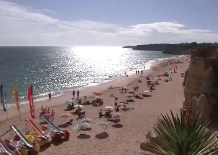 Quiet Overlooking The Swimming Pool