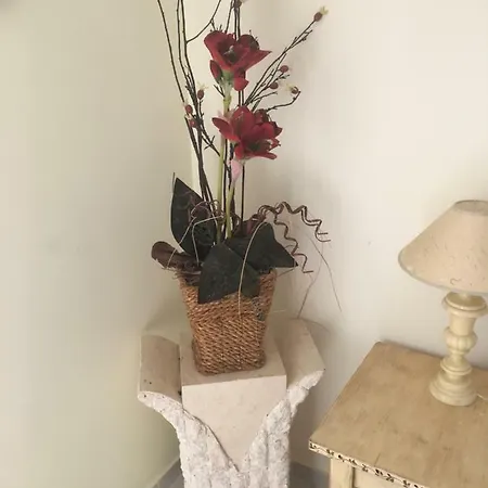 Quiet Overlooking The Swimming Pool Appartement *