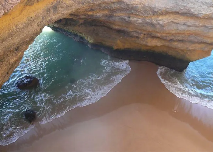 Quiet Overlooking The Swimming Pool