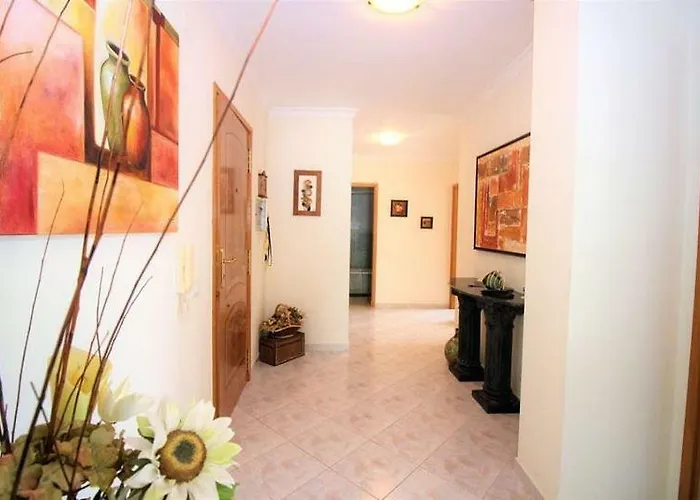 Quiet Overlooking The Swimming Pool