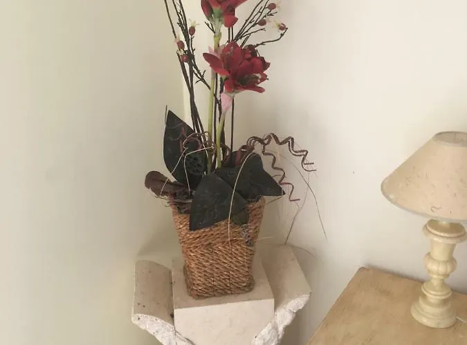 Quiet Overlooking The Swimming Pool 公寓 *